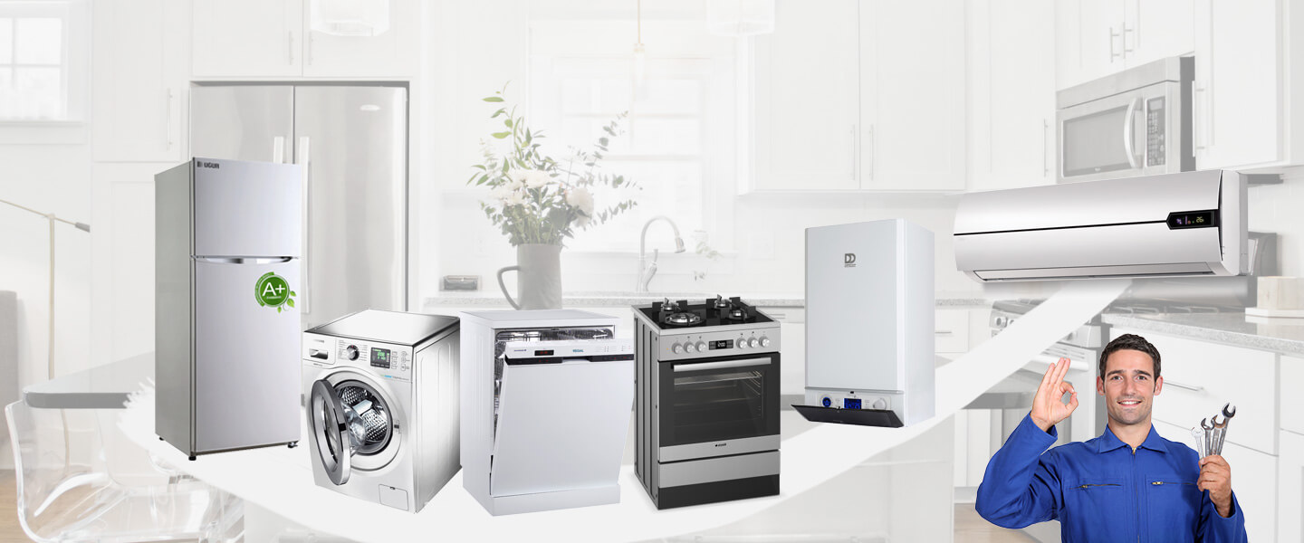 Çayıralan Dominox Servisi